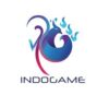 Lowongan Kerja Drone UAV di PT. Indogame Technology Group