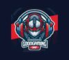 Lowongan Kerja Admin E-commerce – Videographer and Editor – Graphic Designer di Good Gaming Shop
