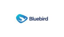 Lowongan Kerja Driver di Bluebird Pool Cijantung (DUPLICATE) - Jakarta
