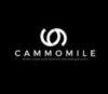 Lowongan Kerja Staff Gudang Online di Cammomile
