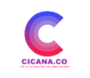 Lowongan Kerja Talent Acquisition & Development – Account Executive – Corporate Secretary di PT. Cicana Indonesia Corp